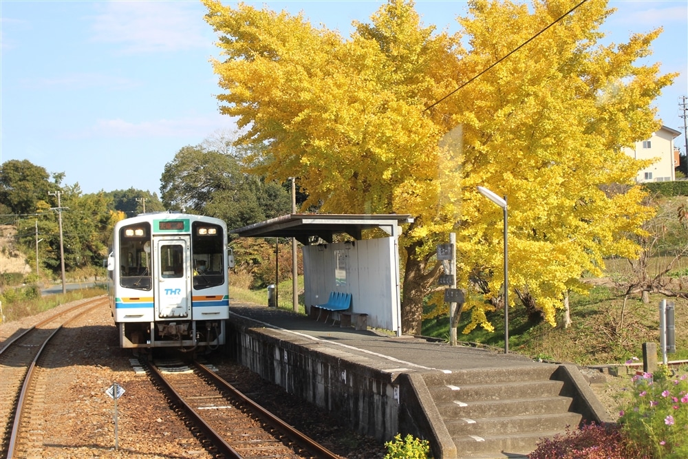 Go local in Shizuoka with fields of tea, a rural train ride and an age-old shrine