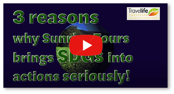 3 reasons why Sunrise Tours Movie