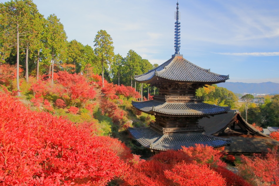 Temple with autumn leaves