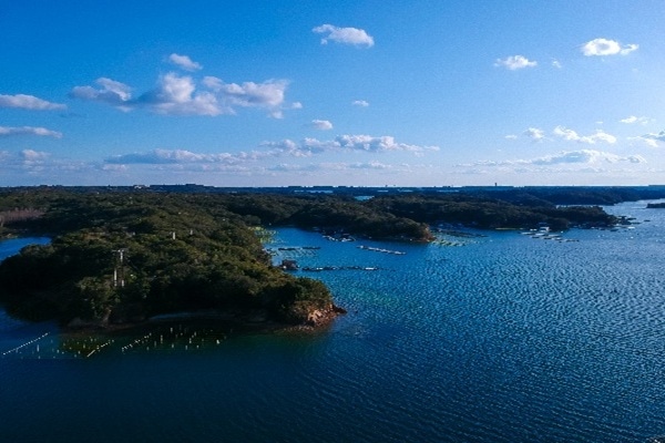 MIE & KYOTO: 3-DAY GOURMET & CULTURE TOUR